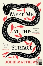 Meet Me At The Surface