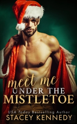 Bertrand.pt - Meet Me Under The Mistletoe