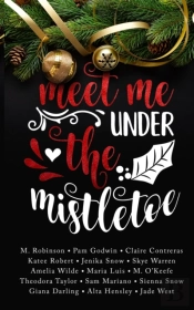 Meet Me Under The Mistletoe