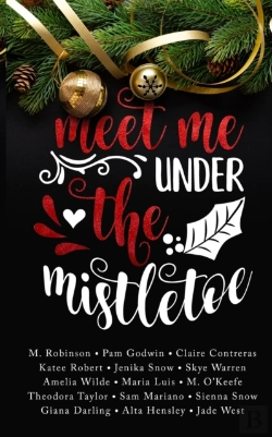 Bertrand.pt - Meet Me Under The Mistletoe