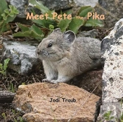 Meet Pete The Pika