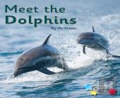 Meet The Dolphins