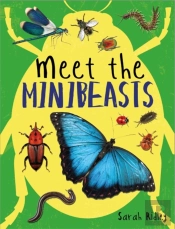Meet The Minibeasts