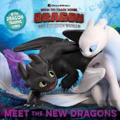 Meet The New Dragons
