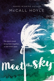 Meet The Sky