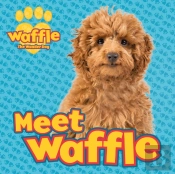 Meet Waffle!