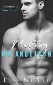 Meeting Mr Anderson