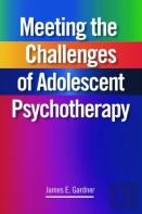 Meeting The Challenges Of Adolescent Psychotherapy