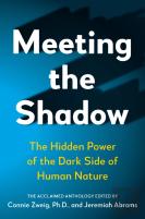 Meeting The Shadow