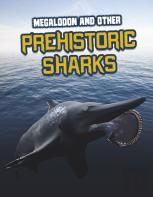Megalodon And Other Prehistoric Sharks