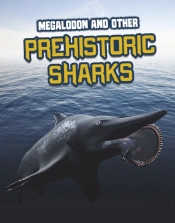 Megalodon And Other Prehistoric Sharks