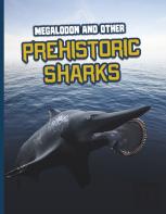 Megalodon And Other Prehistoric Sharks