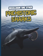 Megalodon And Other Prehistoric Sharks