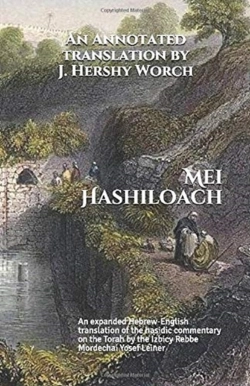Bertrand.pt - Mei Hashiloach