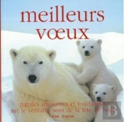 Meilleurs Voeux