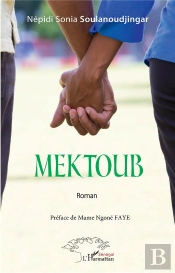 Mektoub - Roman