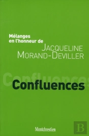 Mélanges En L'Honneur De Jacqueline Morand-Deviller ; Confluences