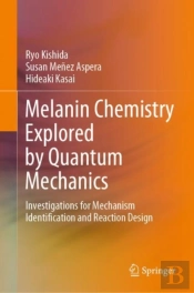 Melanin Chemistry Explored By Quantum Mechanics
