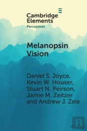 Melanopsin Vision