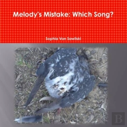 Bertrand.pt - Melody'S Mistake