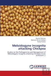 Meloidogyne Incognita Attacking Chickpea