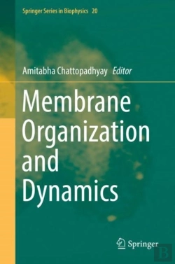 Bertrand.pt - Membrane Organization And Dynamics