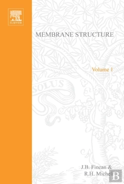 Bertrand.pt - Membrane Structure