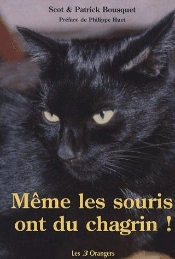 Meme Les Souris Ont Du Chagrin