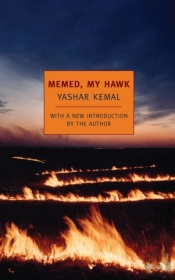 Memed, My Hawk