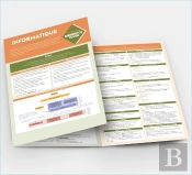 Mémentos Flash : Informatique