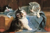 Memo Block: Kittens