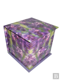 Bertrand.pt - Memo Block: Lavender
