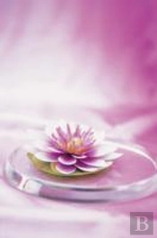 Memo Block Waterlily