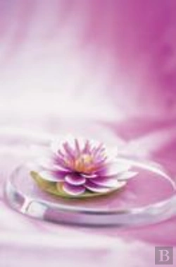 Bertrand.pt - Memo Block Waterlily