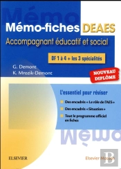 Memo-Fiches ; Deaes ; Diplôme D'Etat D'Accompagnant Éducatif Et Social