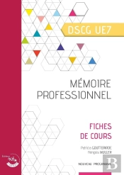Mémoire Professionnel ; Fiches De Cours ; Dscg Ue7 (2e Édition)