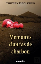 Memoires D'Un Tas De Charbon