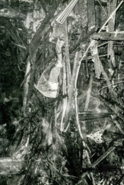 Memorator