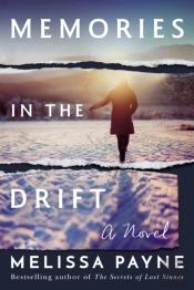 Memories In The Drift