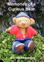 Memories Of A Curious Bear