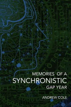 Bertrand.pt - Memories Of A Synchronistic Gap Year