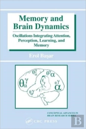 Memory And Brain Dynamics