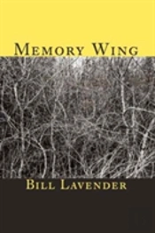 Memory Wing
