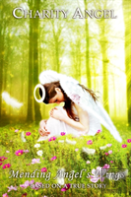 Mending Angel'S Wings