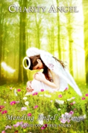 Mending Angel'S Wings