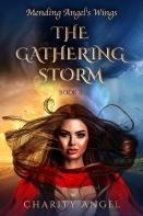 Mending Angel'S Wings: The Gathering Storm
