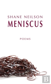 Meniscus