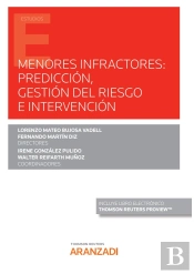 Menores Infactores Prediccion Gestion Del Riesgo E Interve
