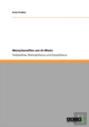 Menschenaffen Am Ur-Rhein