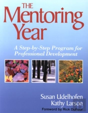 Mentoring Year